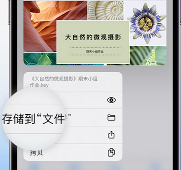 繁峙apple维修中心分享iPhone文件应用中存储和找到下载文件