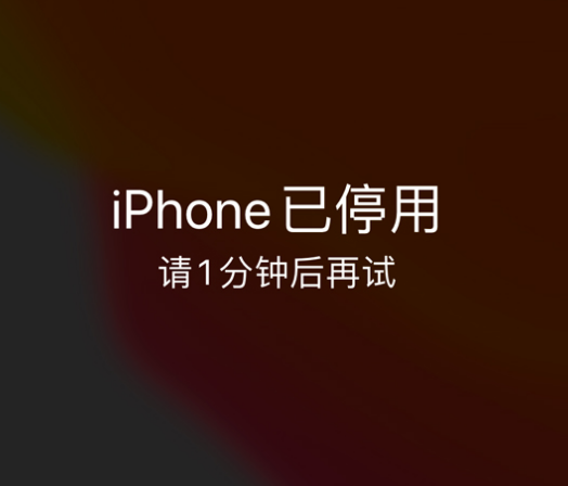 繁峙苹果手机维修分享:iPhone 显示“不可用”或“已停用”怎么办？还能保留数据吗？ 