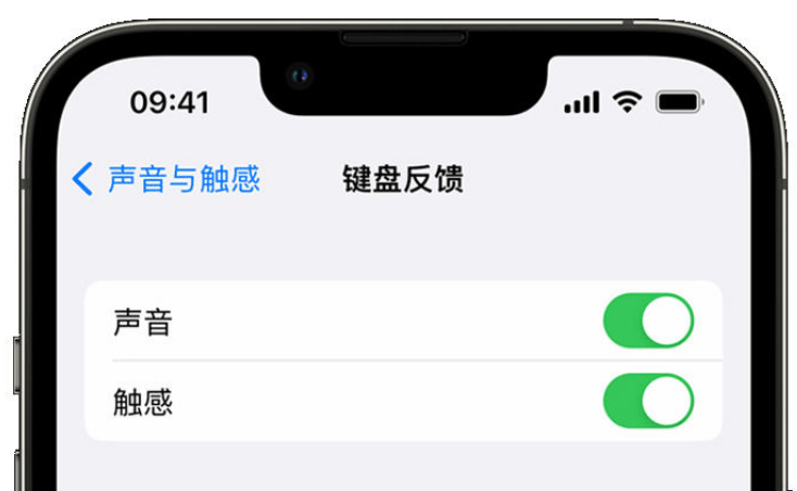 繁峙苹果手机维修分享iPhone 14触感键盘使用方法 