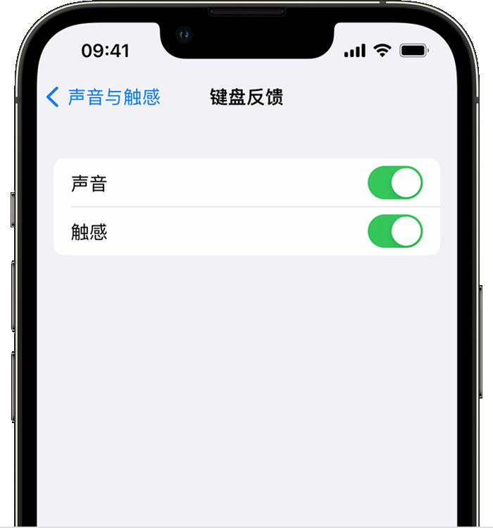 繁峙苹果14维修店分享如何在 iPhone 14 机型中使用触感键盘 