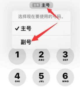 繁峙苹果14维修店分享iPhone 14 Pro Max使用副卡打电话的方法 