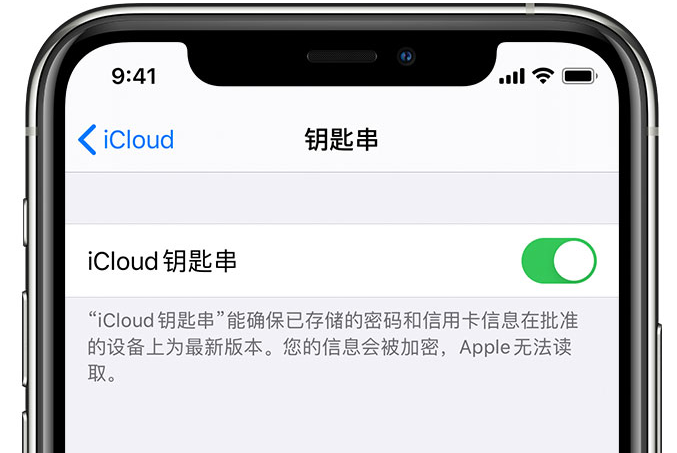 繁峙苹果手机维修分享在 iPhone 上开启 iCloud 钥匙串之后会储存哪些信息 