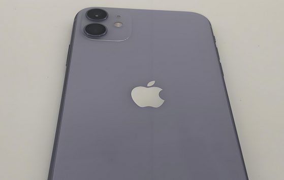 繁峙苹果11系统维修分享iPhone11手机系统崩溃无法开机如何解决 
